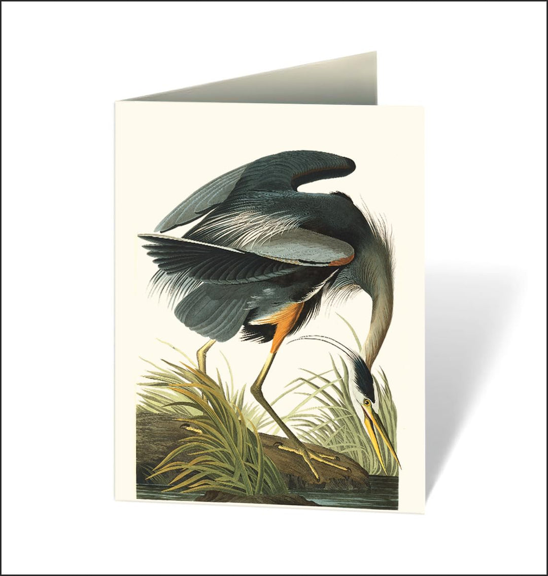 Greeting card with a detailed illustration of a heron on a white background