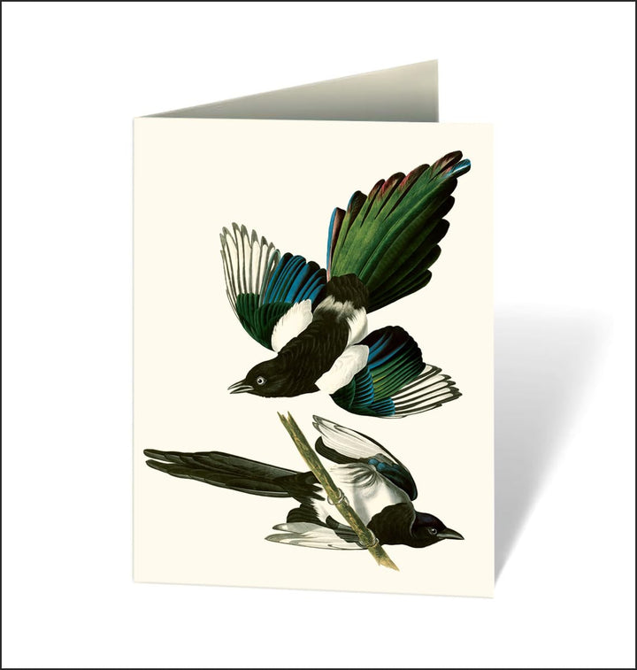 Greeting card with magpie illustration on a white background