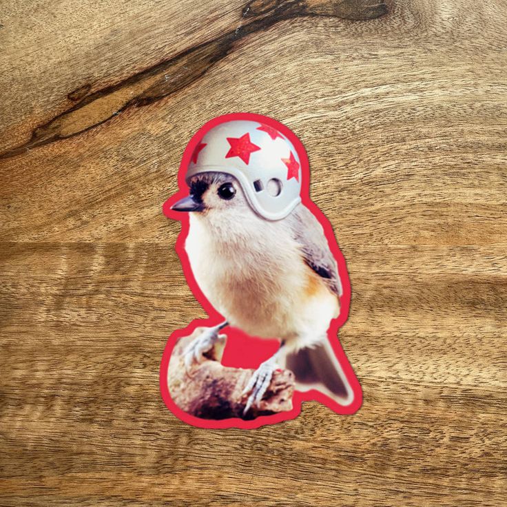 Bird sticker with helmet design on a wooden surface
