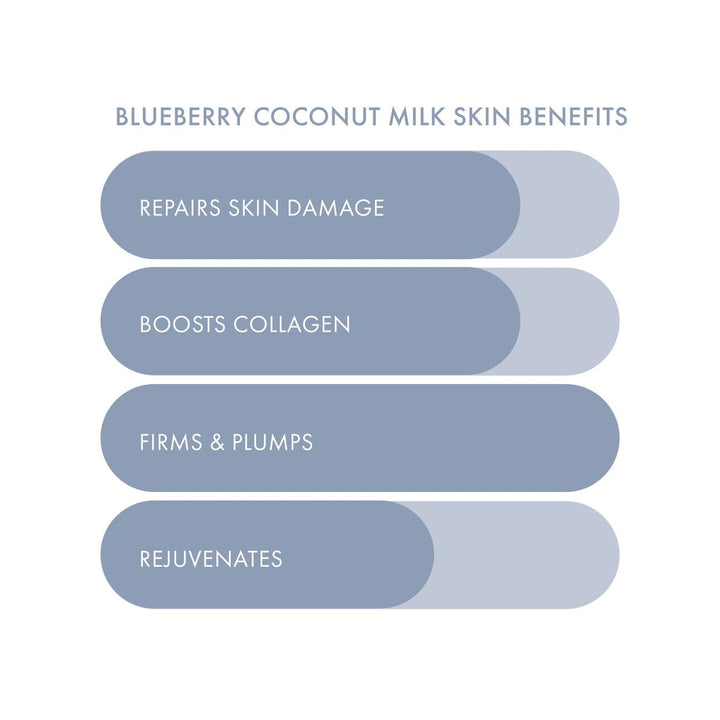 List of blueberry coconut milk skin benefits on a light gray background