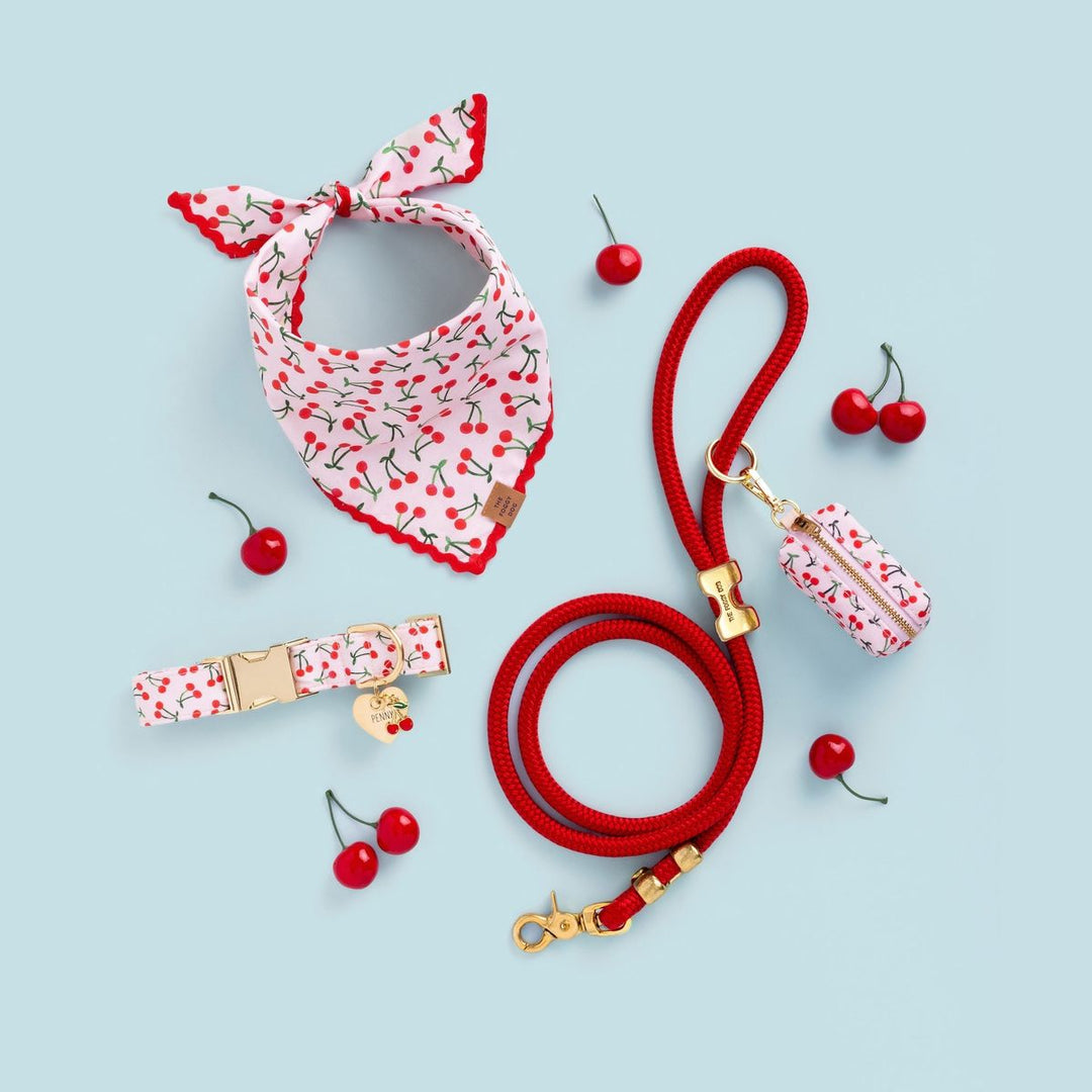 Dog bandana, leash, and accessories with cherry pattern on a light blue background