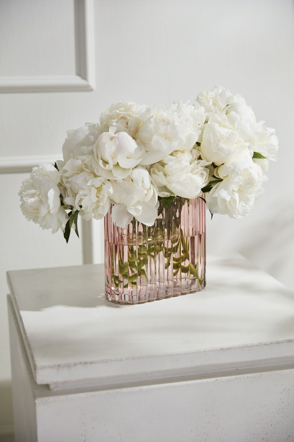 Pink vase with white flowers on a white surface