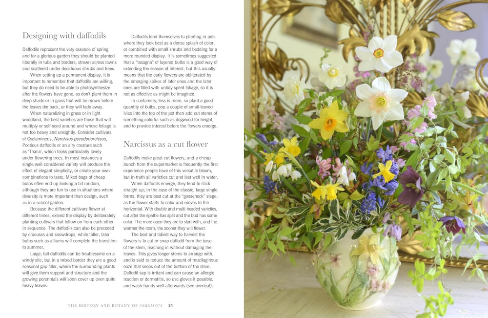 Floral arrangement in a vase with text on a book page