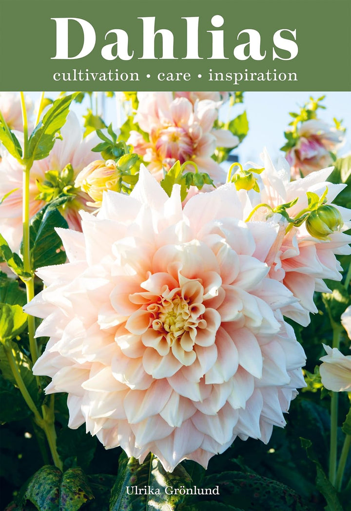 Book cover of 'Dahlias' with a pink flower and green background