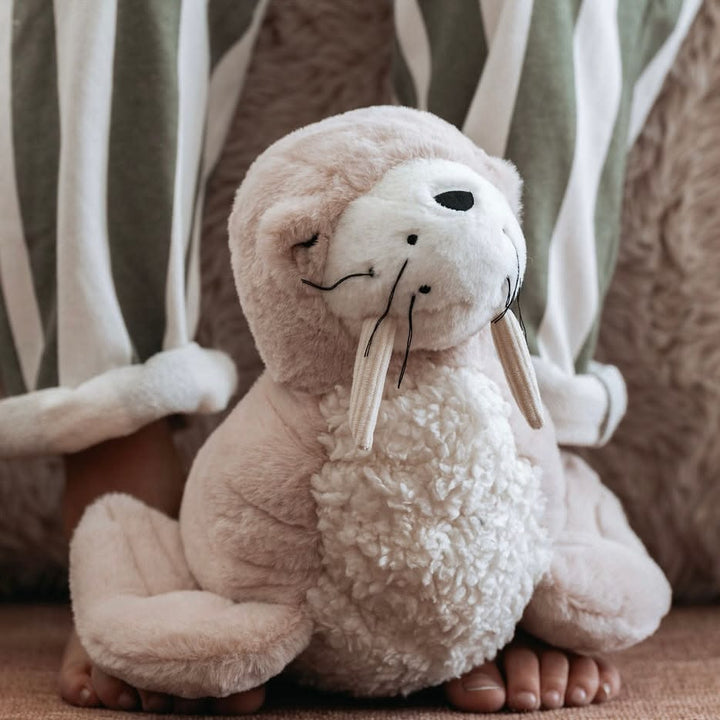 Daryl Walrus