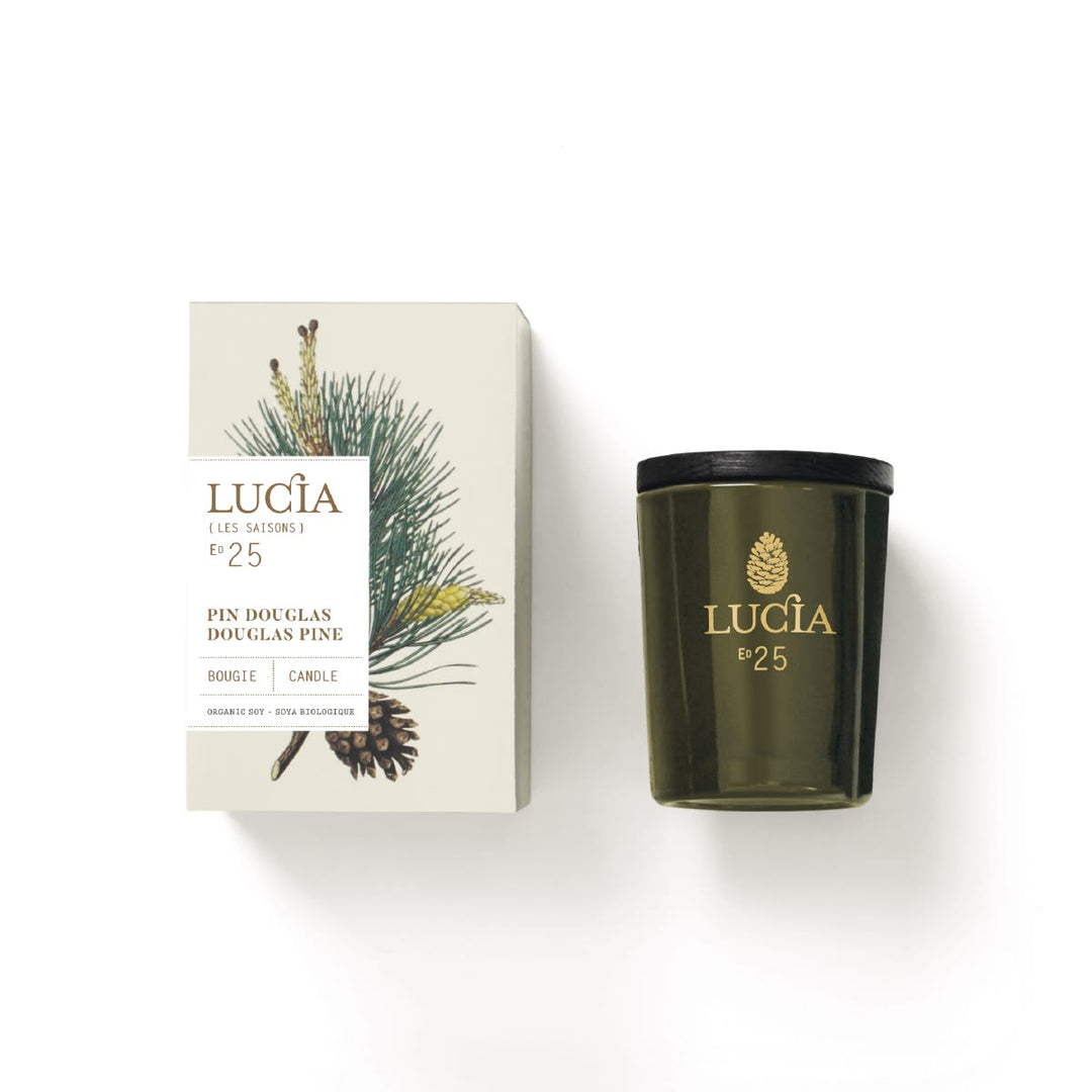 Lucãé candle and packaging with pine design on a white background