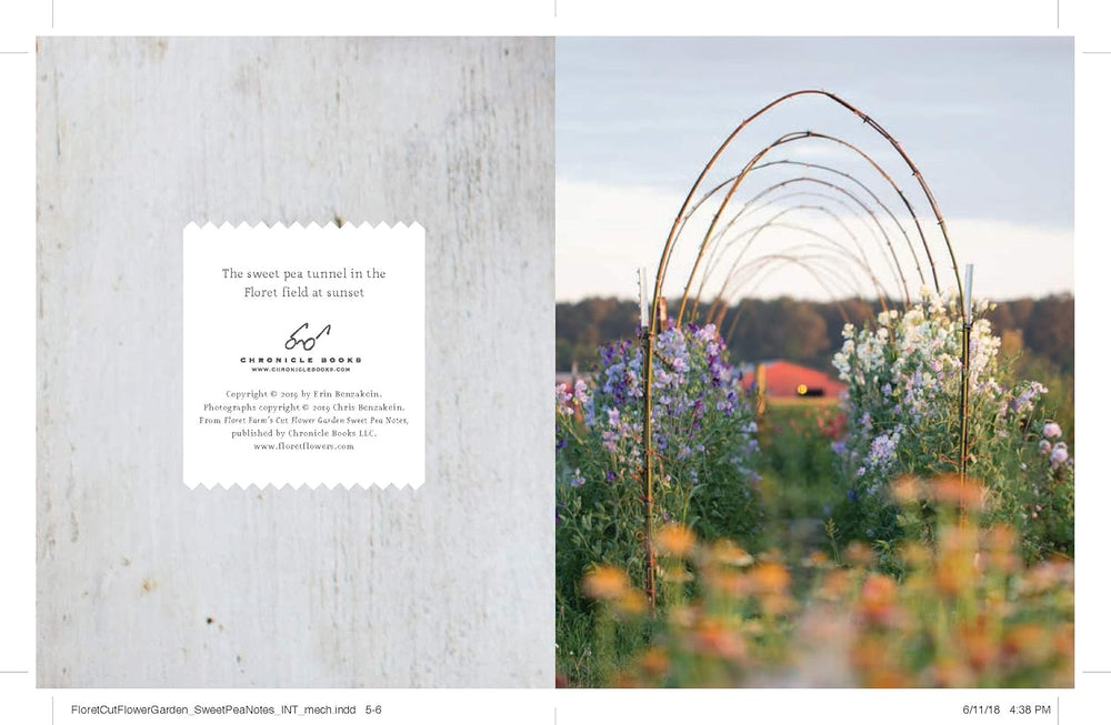 A split-page design layout: the left side shows a textured light gray background with a centered white label containing small text and a signature-style logo; the right side shows a garden scene with a metal arch trellis over wildflowers in purple, white, and orange tones.