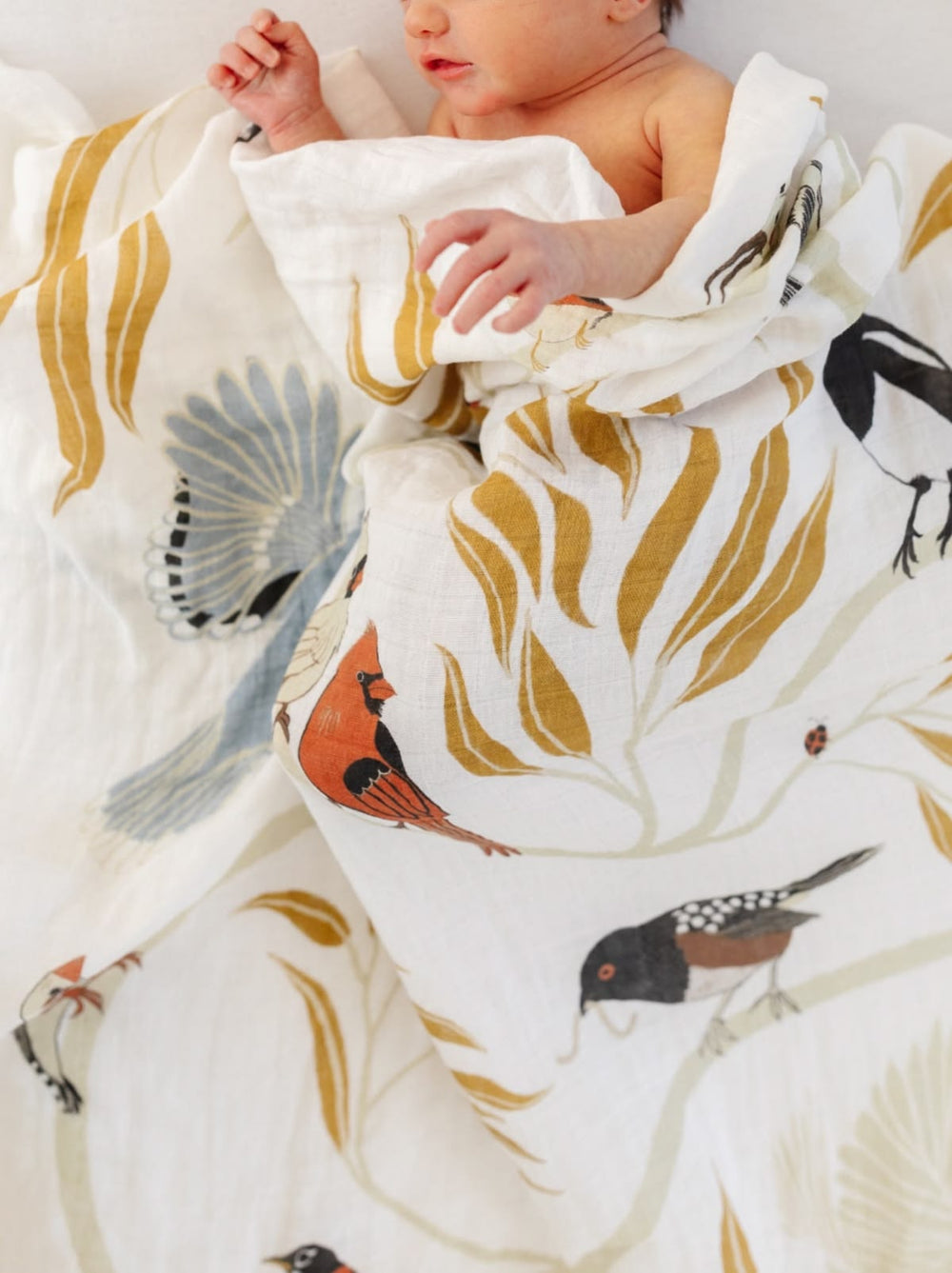 Baby wrapped in a blanket with bird patterns on a white background