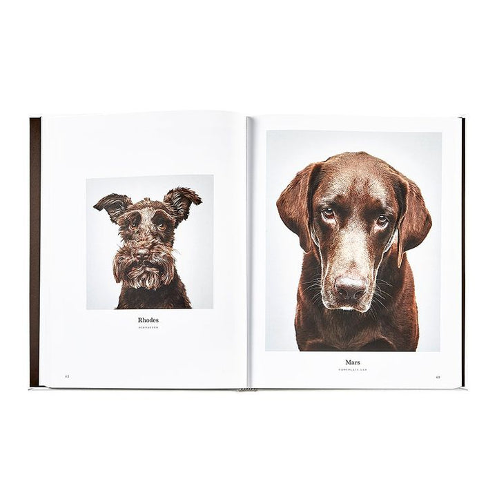 Open book showing two dog portraits on white pages