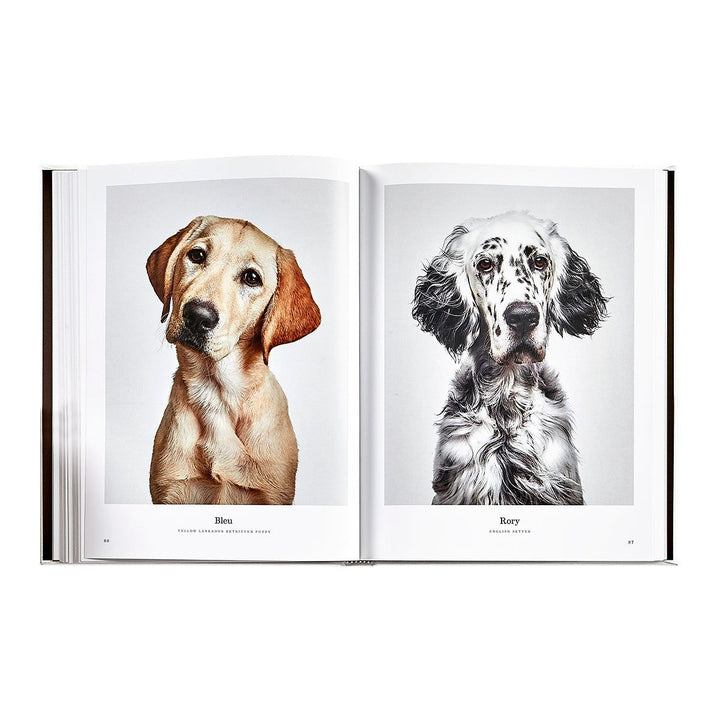 Open book showing two dog portraits on a white background