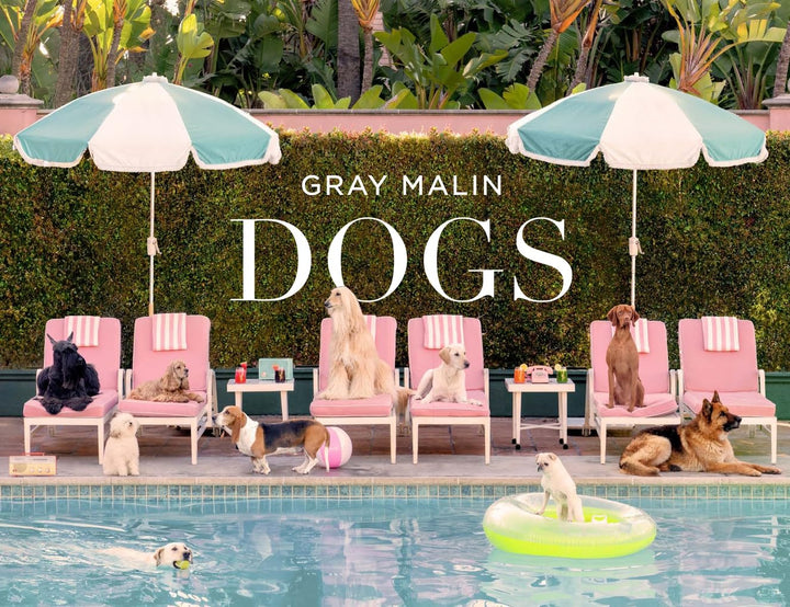 Book cover of 'DOGS' by Gray Malin featuring dogs around a pool with umbrellas and chairs.