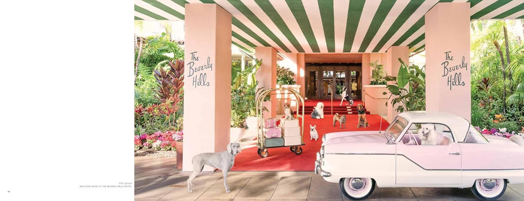 Vintage-style car parked in front of a building with striped awning and 'The Beverly Hills' sign.
