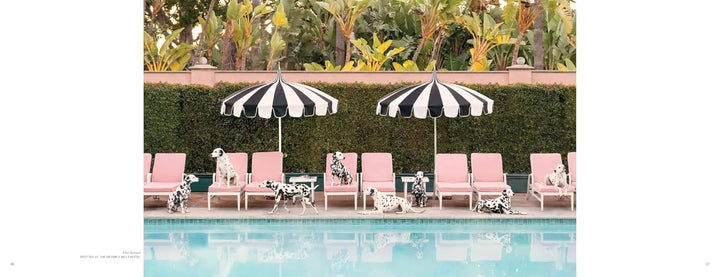 A square art print featuring a luxurious poolside scene with pink lounge chairs, two black and white striped umbrellas, and Dalmatian dogs lounging by the water, set against a green hedge and tropical foliage.