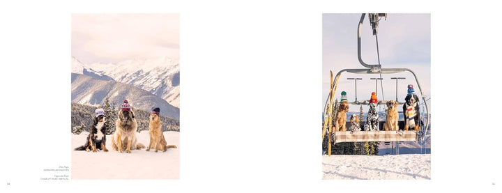 Two images showing people with dogs on a snowy mountain and on a ski lift.