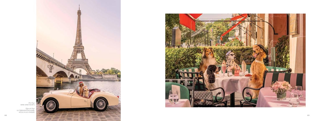 Two scenic images: one of a vintage car near the Eiffel Tower, another of people dining outdoors.
