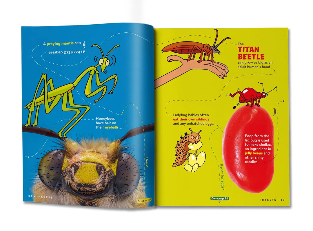 Open book showing illustrations of insects with educational text on a white background