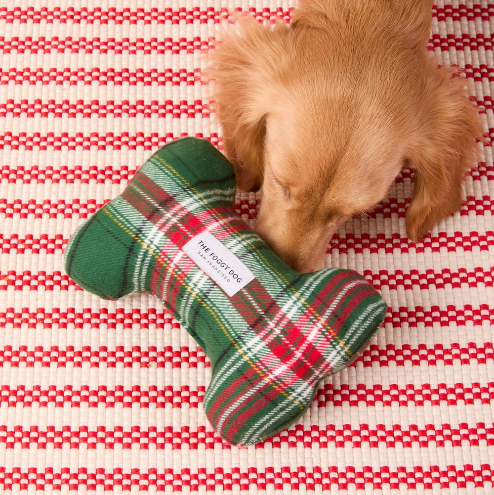 Dog playing with a plaid bone-shaped toy on a red and white checkered blanket