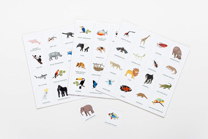 Set of animal flashcards on a white background