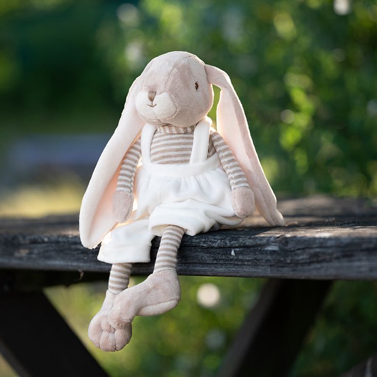 Lucian Bunny