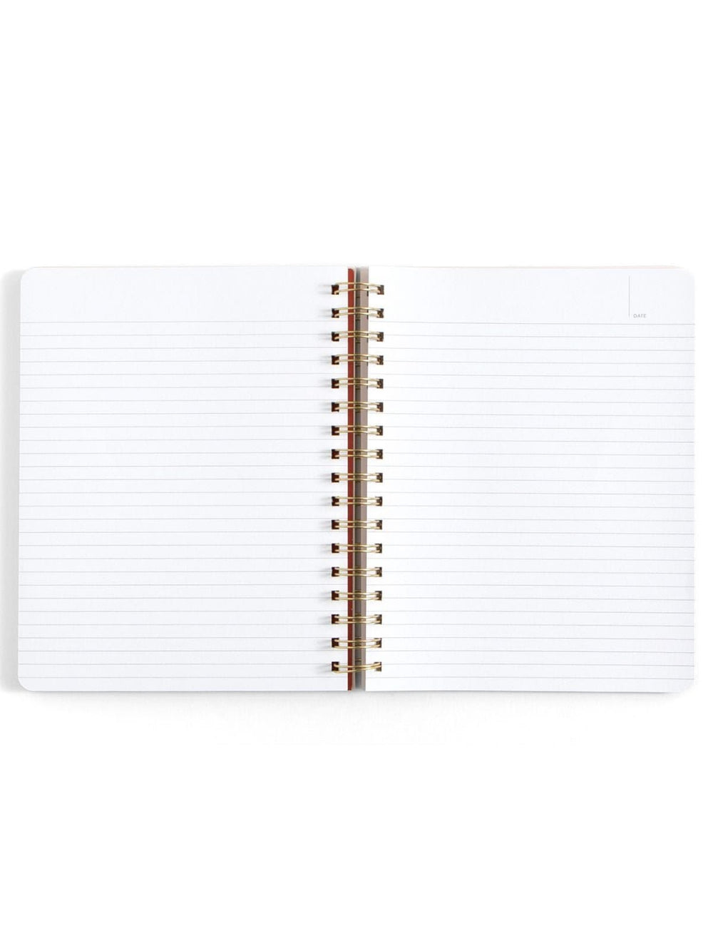 An open spiral-bound lined notebook with white pages and a metallic gold wire binding, photographed on a clean white background.