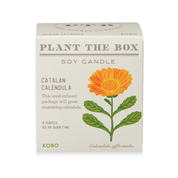 Soy candle packaging with calendula flower illustration on a white background