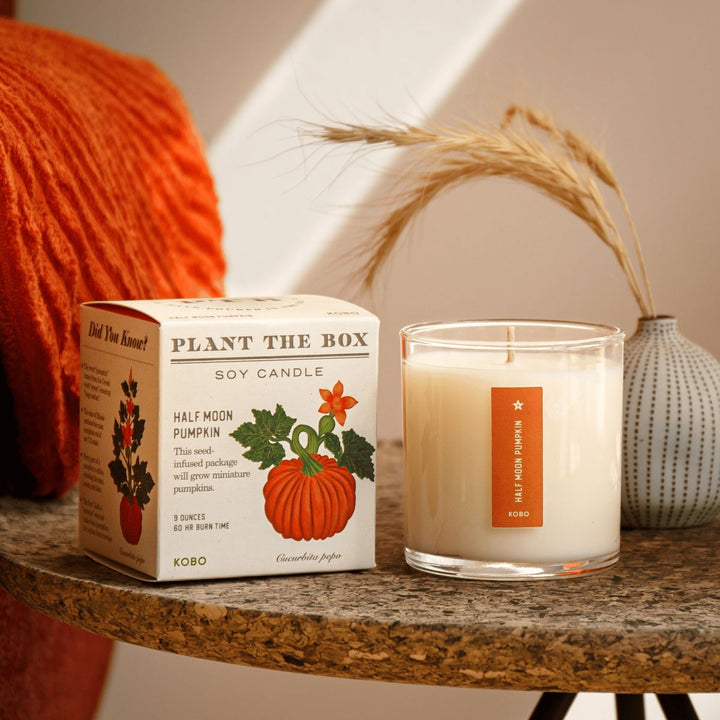 Kobo Plant The Box soy candle on a table with packaging and decorative elements.