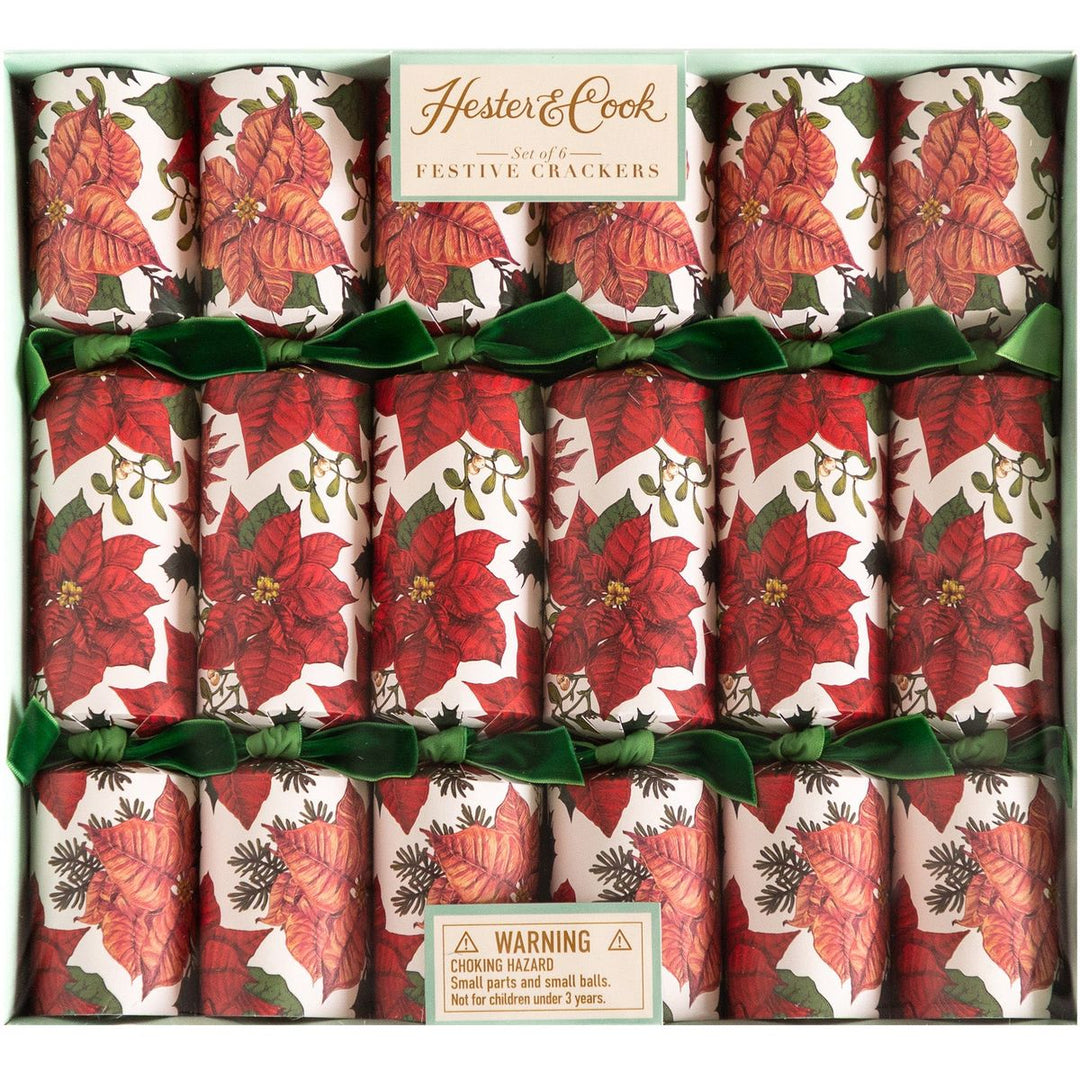 Box of Hester & Cook festive crackers with poinsettia design