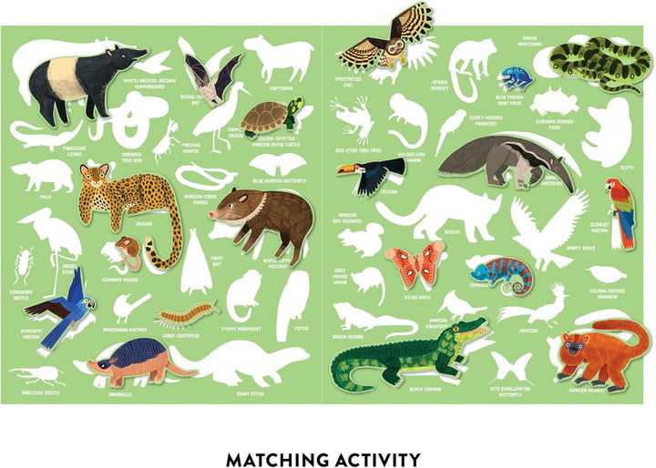 Educational chart with illustrations of various animals on a green background