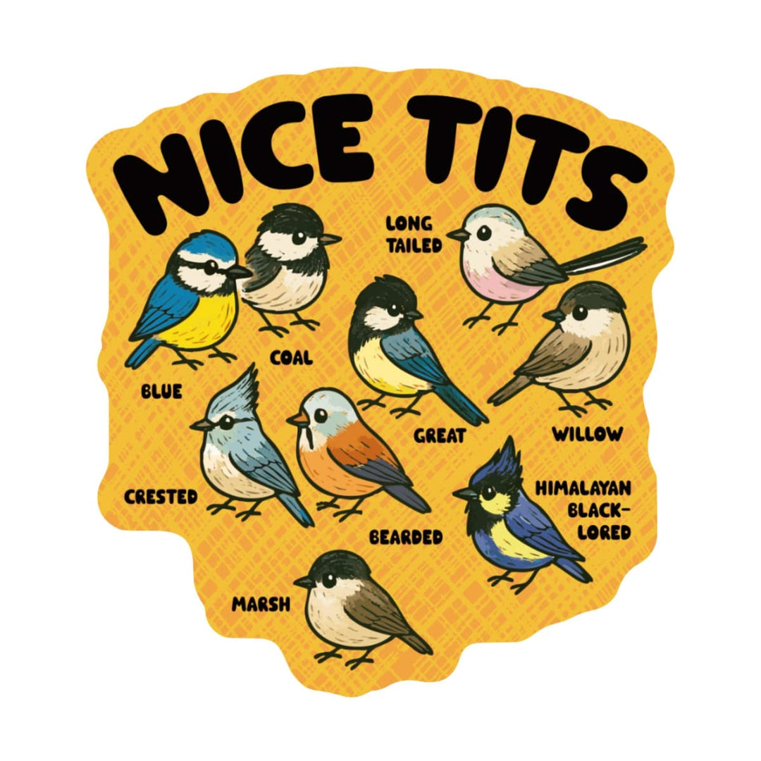 Illustration of various birds with labels on a yellow background, featuring the text 'NICE TITS'.