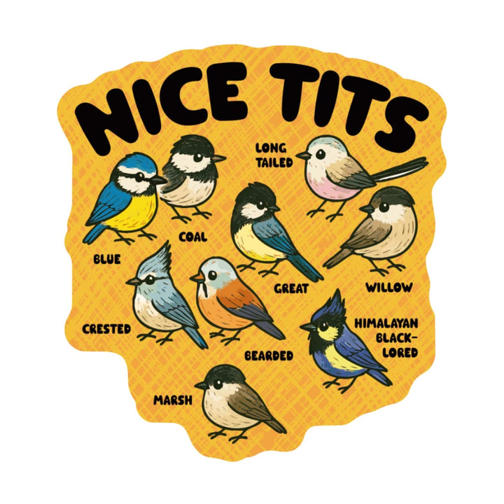 Illustration of various birds with labels on a yellow background, featuring the text 'NICE TITS'.