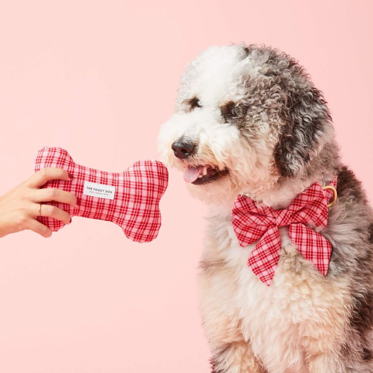 TFD Katherine Plaid Dog Squeaky Toy
