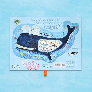 An educational children's book or activity board titled 'Plantes d'Islande' featuring a large whale illustration on a light blue background, photographed against a matching light blue backdrop.