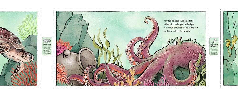 Illustration of an octopus in an underwater scene with plants and a light.