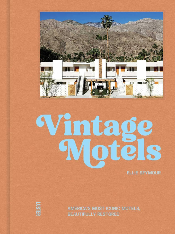 Book cover of 'Vintage Motels' with a photo of a motel and mountains on the cover.