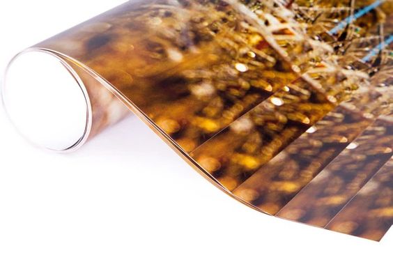 Wheatgrass First Frost Gift Wrap - 6 Sheets