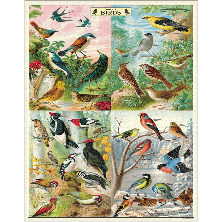 Poster of various birds with a colorful design on a white background