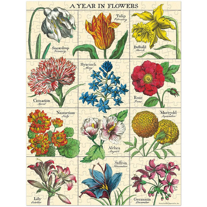 Illustration of flowers representing each month of the year on a beige background.