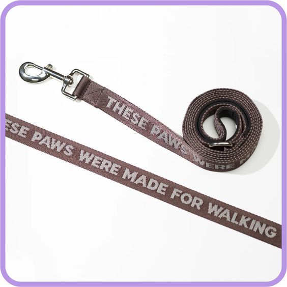 These Paws Dog Leash - Hank & Sylvie's 