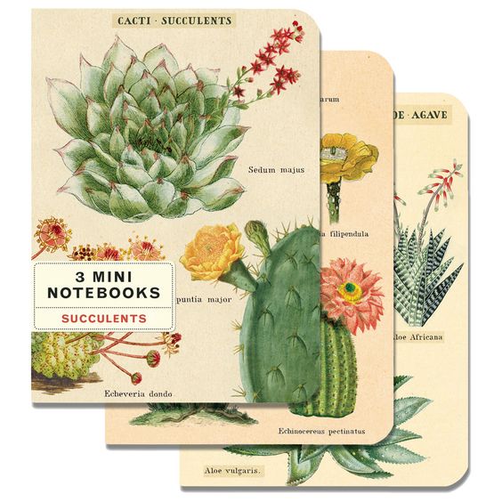 Hank & Sylvie's - 3 Mini Assorted Notebooks: Succulents - Cavallini Co