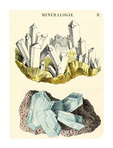 3 Mini Notebooks: Mineralogy - Cavallini & Co.