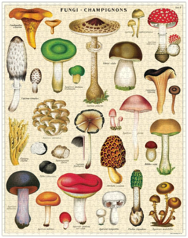 Mushrooms Vintage 1000 Piece Puzzle