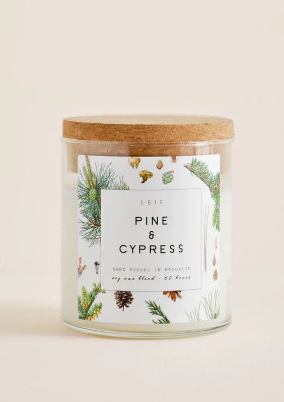 Botanist Candle:  Pine & Cypress