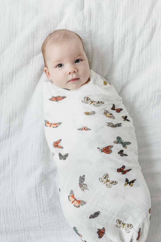 Butterfly Migration SwaddleClementine Kids Butterfly Migration Baby Swaddle